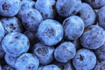 仙女说，这个蓝莓不是给你吃的，某个时刻你会发现它的用处