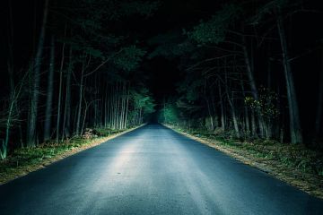 左边的路一片漆黑，你会选择？